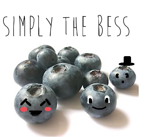 simpley the bess